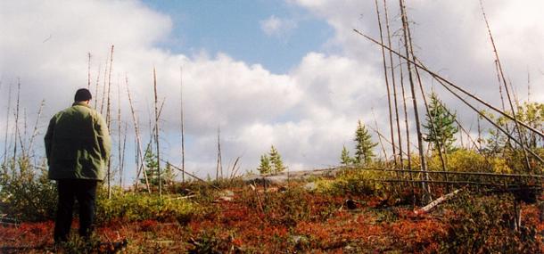 États nordiques, Les de Denis Côté