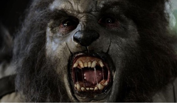 Extrait du film Wolfcop de Lowell Dean