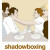 Affiche du film Shadowboxing