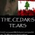 Visuel du film The Cedar's Tears (Nils Oliveto)