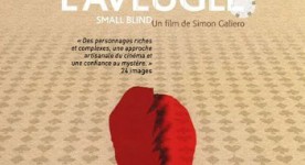 Image de la pochette du DVD du film La mise à l'aveugle