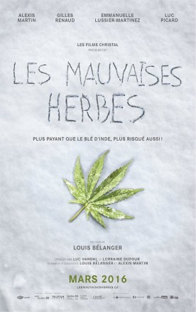 Mauvaises herbes, Les – Film de Louis Bélanger