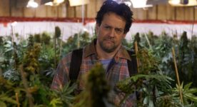 Alexis Martin dans "LES MAUVAISES HERBES" de Louis Bélanger - Photo Philippe Bossé / COOP VIDEO DE MONTREAL
