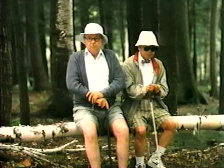 Film Sur Les Arbres Qui Communiquent Entre Eux Because Why – Film d’Arto Paragamian | Films du Québec