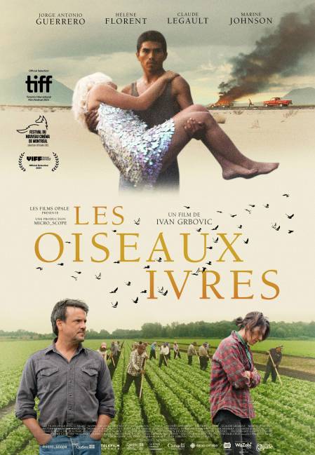 Les oiseaux ivres - affiche du film d'ivan Grbovic (les quatre personnages du films entourent le titre placé au milieu de l'image)