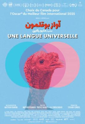 Une langue universelle – Film de Matthew Rankin